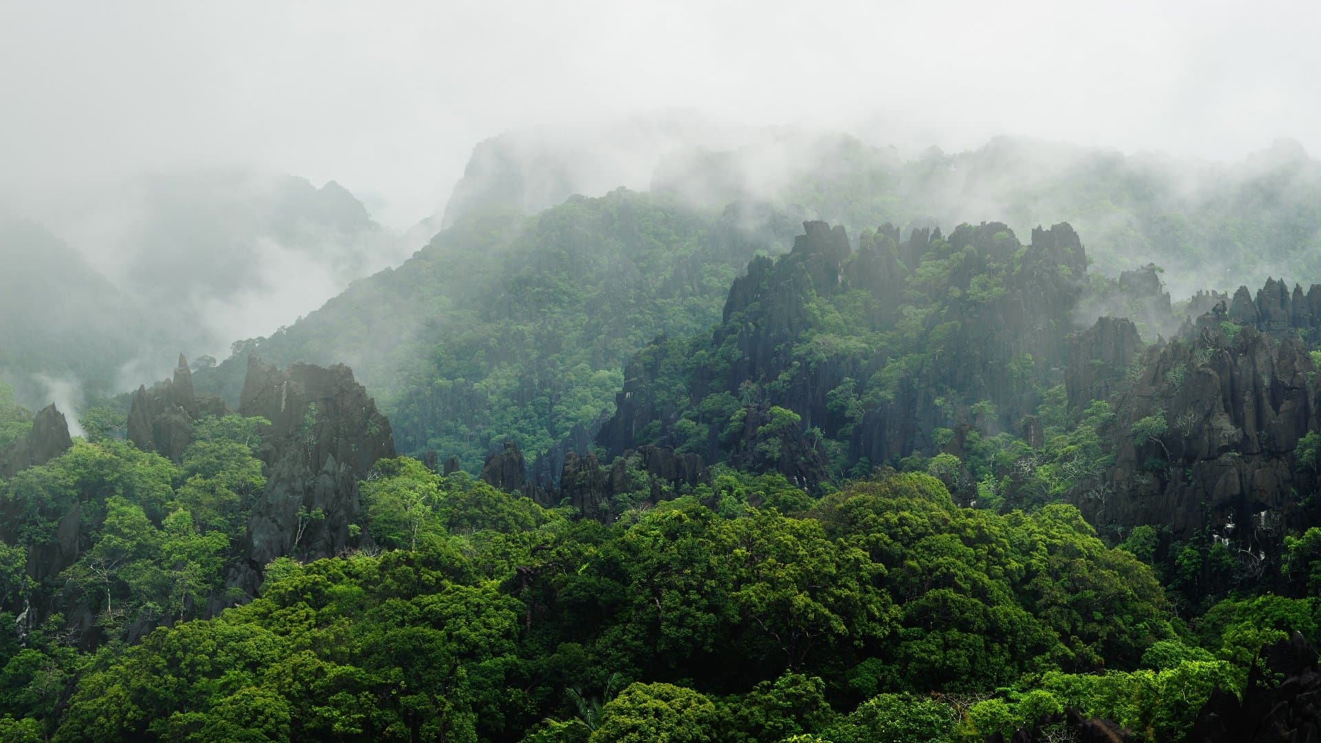 Forested karst mountains in Lao PDR